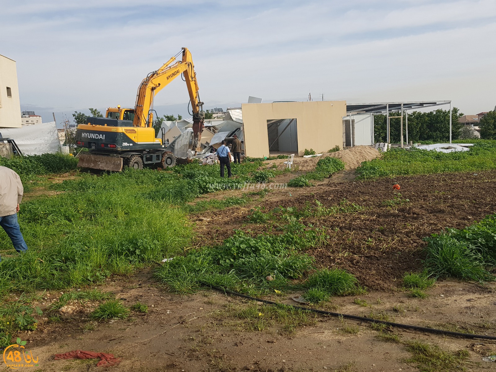 hadm bedas lujd (1).jpg